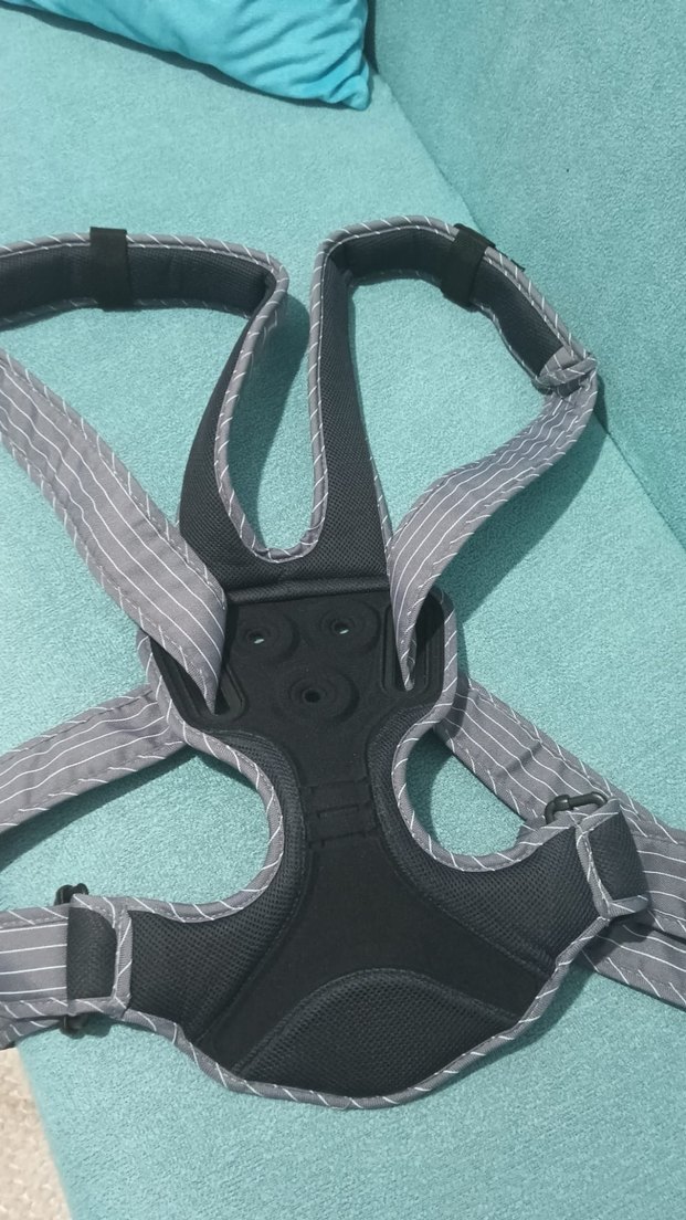 Chicco Gri Bebek Taşıyıcı - Görsel 3