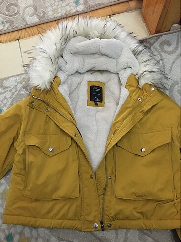 hardal rengi mont
