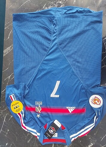 Pires Fransa 2004 forma