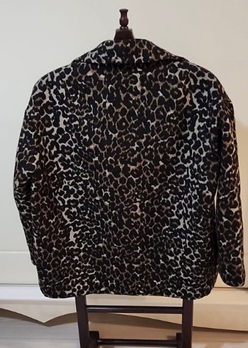 Leopar kaban - Görsel 3