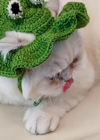 Yeşil Örme Kedi Şapkası - Görsel 2