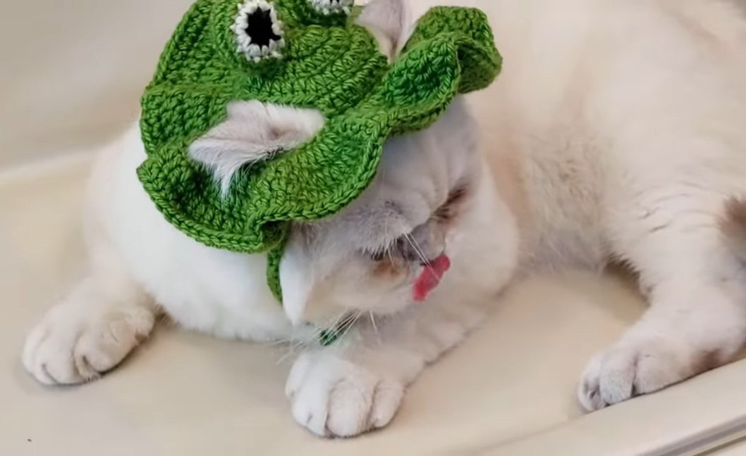 Yeşil Örme Kedi Şapkası - Görsel 2