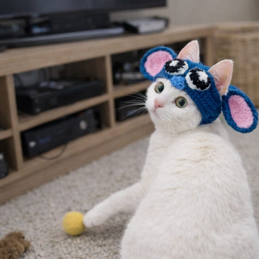 Renkli Örgü Kedi Şapkası - Görsel 3