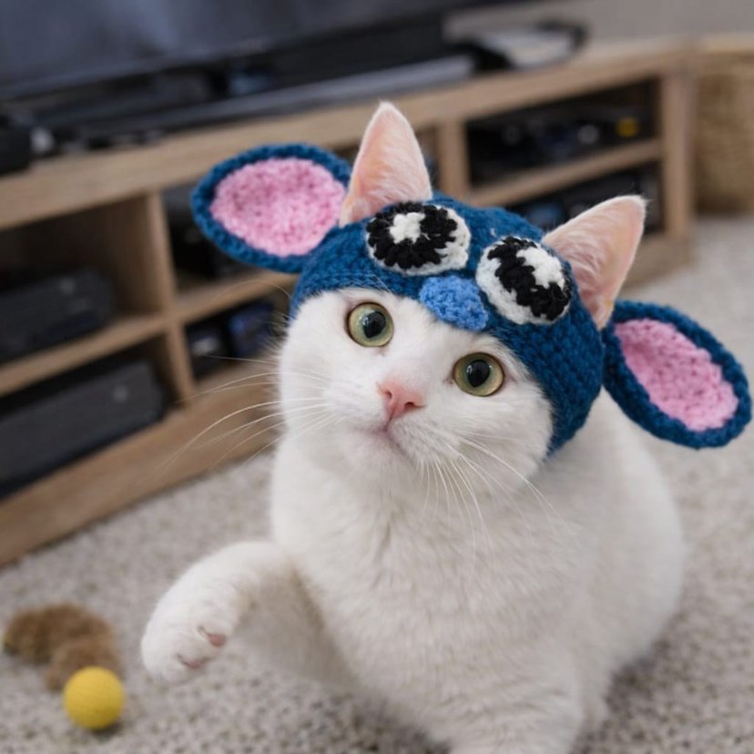 Renkli Örgü Kedi Şapkası - Görsel 2