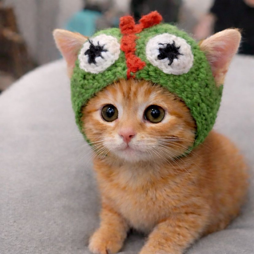 Renkli Dinozor Desenli Kedi Şapkası - Görsel 2