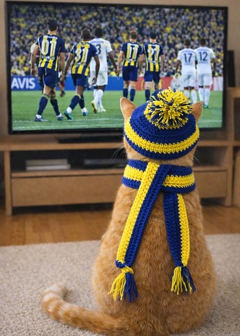 Sarı Mavi Örgü Kedi Şapkası ve Atkısı - Görsel 2