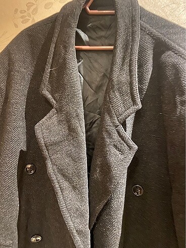 Erkek kaban - Görsel 2