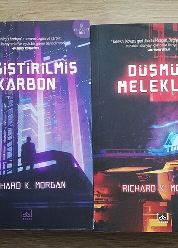 Değiştirilmiş karbon, düşmüş melekler