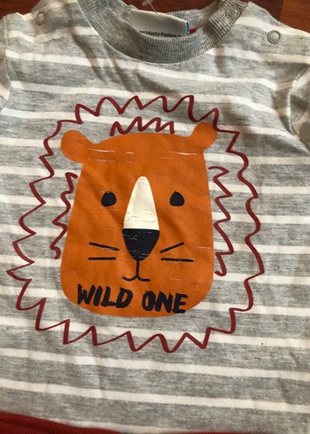 Uzun Kollu Aslan Baskılı Bebek Takımı - Görsel 3