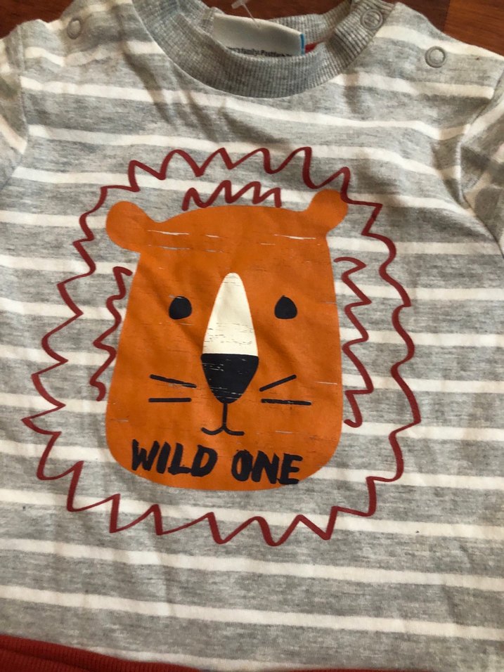 Uzun Kollu Aslan Baskılı Bebek Takımı - Görsel 3