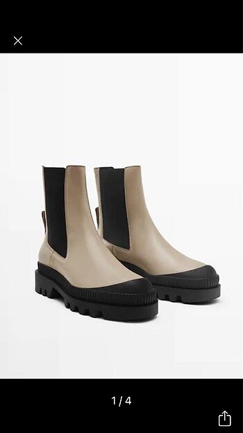 Massimo Dutti Massimo Dutti Bot