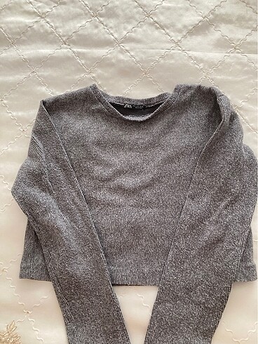 Zara sweat crop