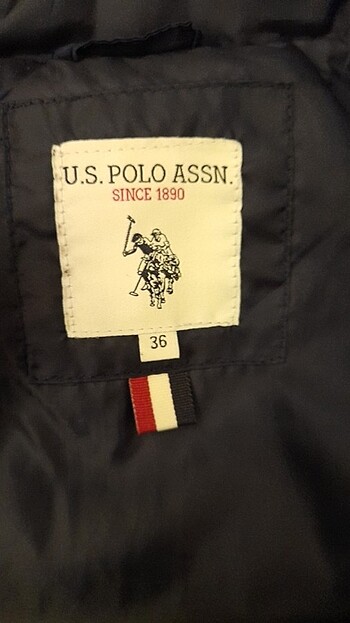 s Beden U.S polo mont
