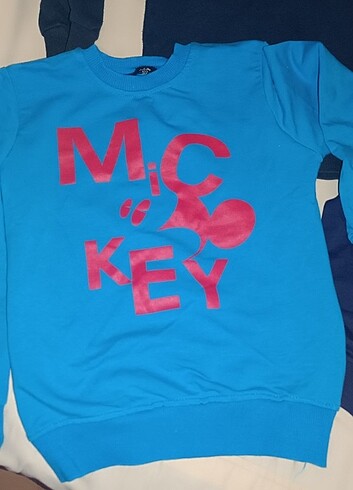 7 Yaş Beden çeşitli Renk Erkek Çocuk Sweatshirt