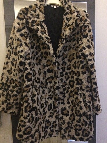 koton leopar