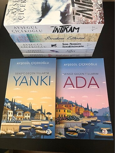  Ayşegül Çiçekoğlu kitapları