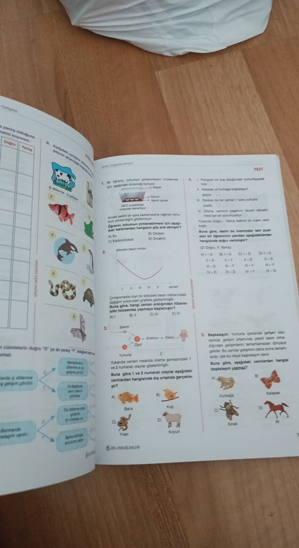 6. Sınıf Fen Bilimleri Soru Bankası - Görsel 2