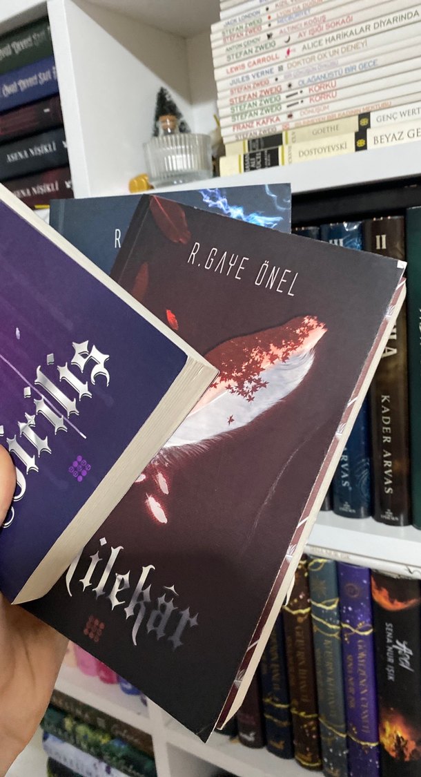 3 kitaplık set - Görsel 4