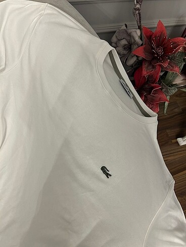 lacoste tişört