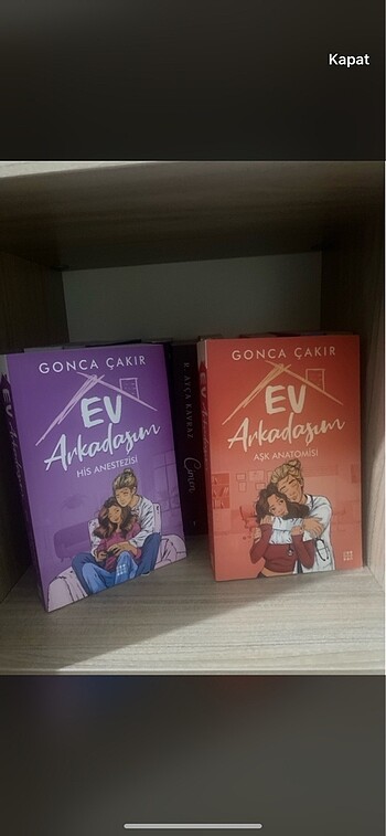 ev arkadasim