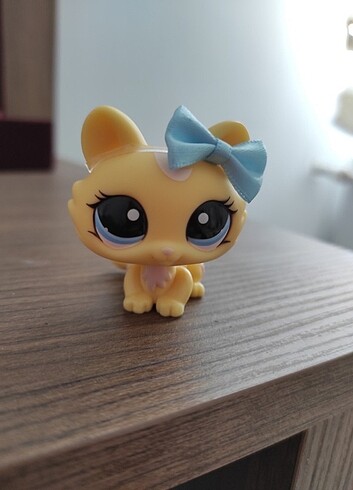 Beden Renk Yavru Kedi Miniş
