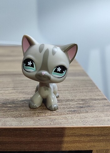 Kedi Miniş #468 (hediyeli)
