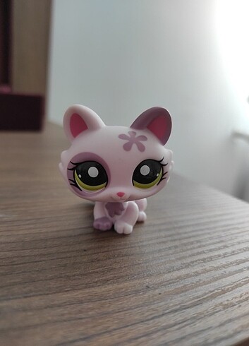 #1628 Yavru Kedi