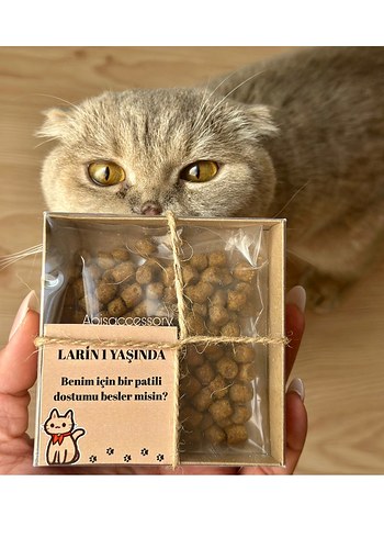 KUTULU HEDİYELİK KEDİ MAMASI