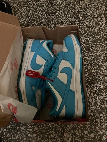 Nike dunk low