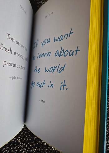 365 Days of Wonder - Mr. Browne'un Öğretileri - Görsel 5