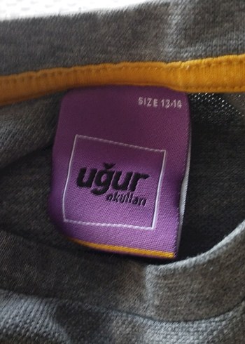 Uğur Gri Erkek Sweatshirt, Uzun Kollu, Uğur Okulları