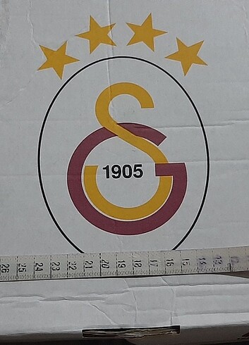 Beden Renk Gs halı saha