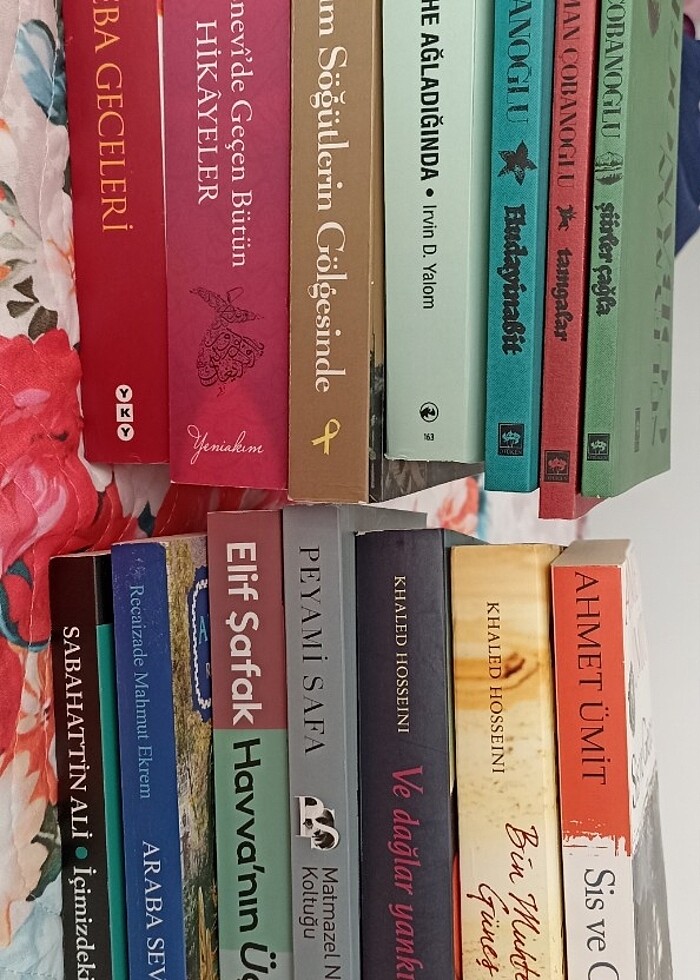 dünya klasikleri - Görsel 2