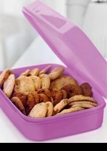 Pastel Mor Plastik Saklama Kabı