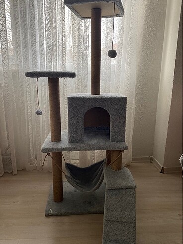 Kedi evi