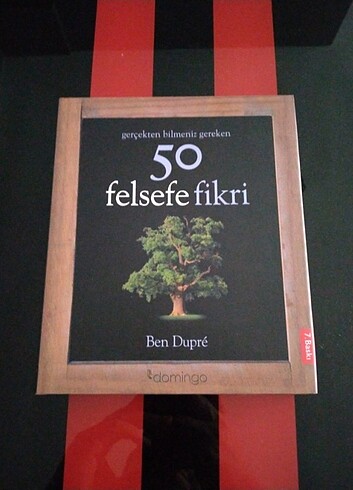 50 Felsefe Fikri/ Domingo Yayinlari