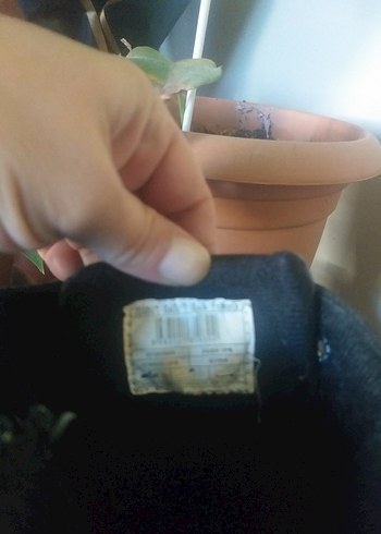 Parlak Siyah Tokalı Kız Botu - Görsel 3