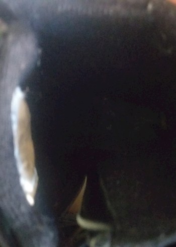 Parlak Siyah Tokalı Kız Botu - Görsel 4