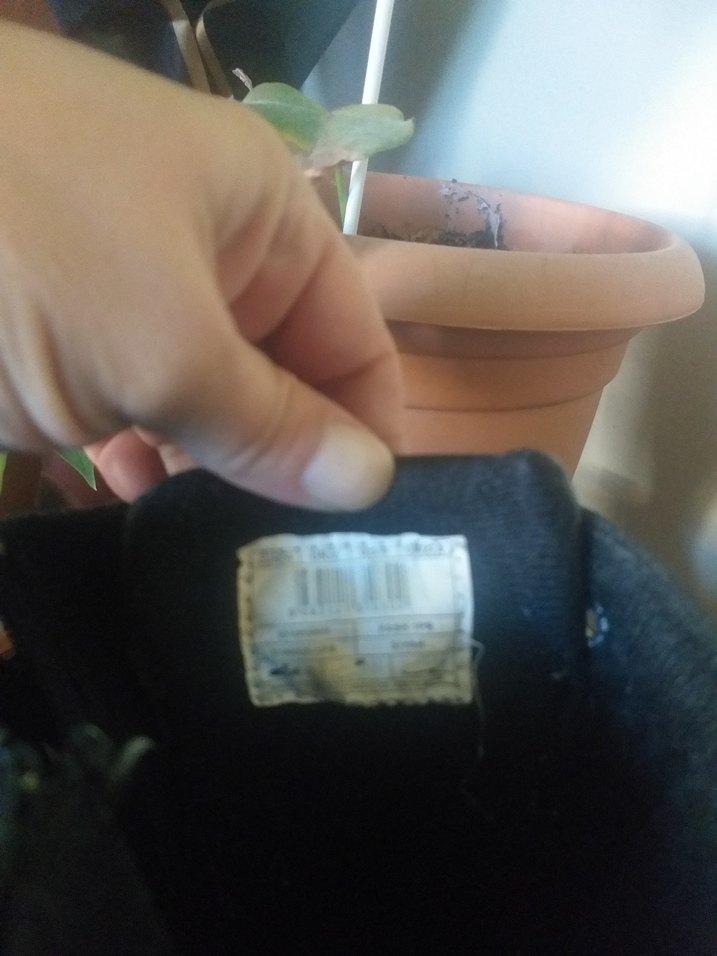 Parlak Siyah Tokalı Kız Botu - Görsel 3