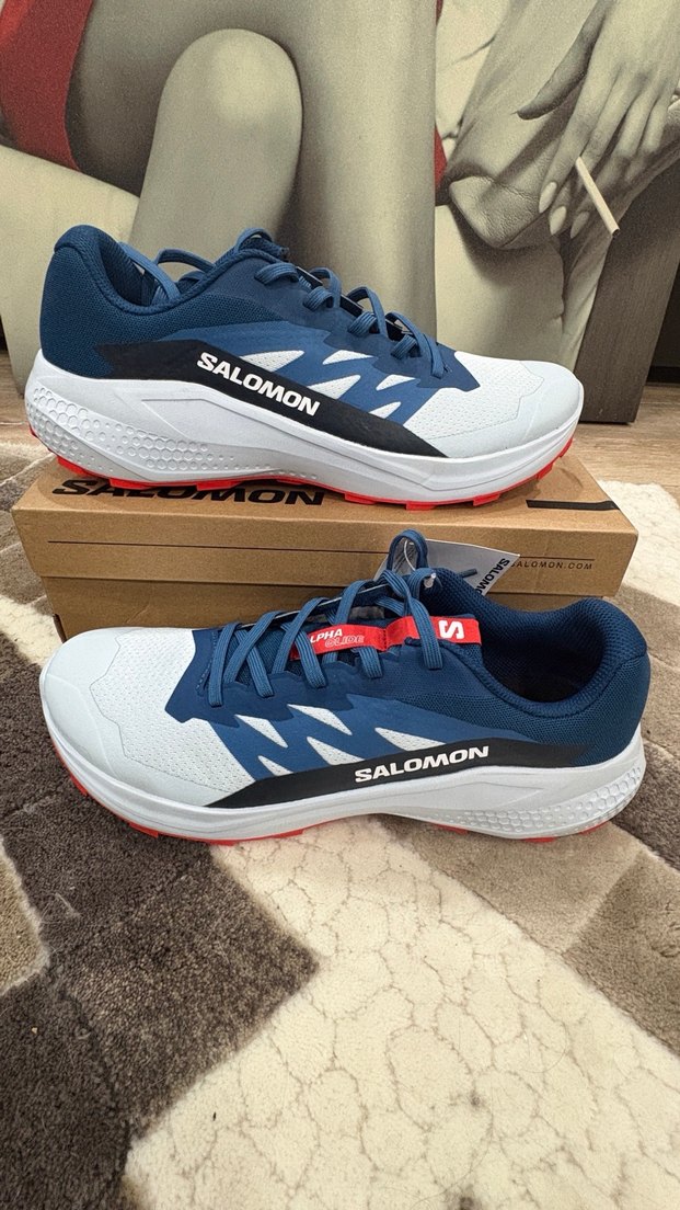 SALOMON ALPHAGLIDE Erkek Koşu Ayakkabısı - Görsel 2