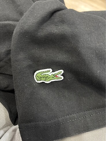 m Beden Lacoste T-shirt