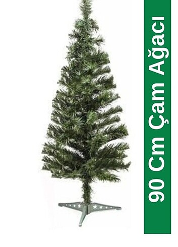 Çam ağacı