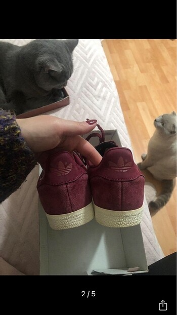 37 Beden bordo Renk Adidas Gazelle