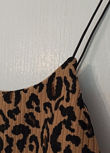 Diğer Leopar Crop