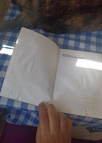 Rıfat Ilgaz - Ocak Katırı Alagöz - Görsel 5