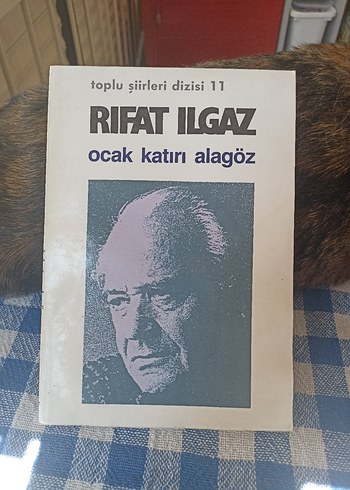 Rıfat Ilgaz - Ocak Katırı Alagöz - Görsel 6