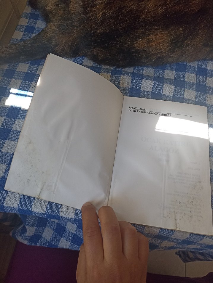 Rıfat Ilgaz - Ocak Katırı Alagöz - Görsel 5