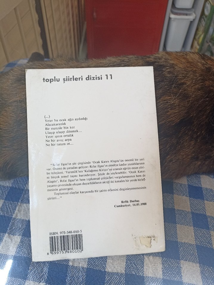 Rıfat Ilgaz - Ocak Katırı Alagöz - Görsel 2