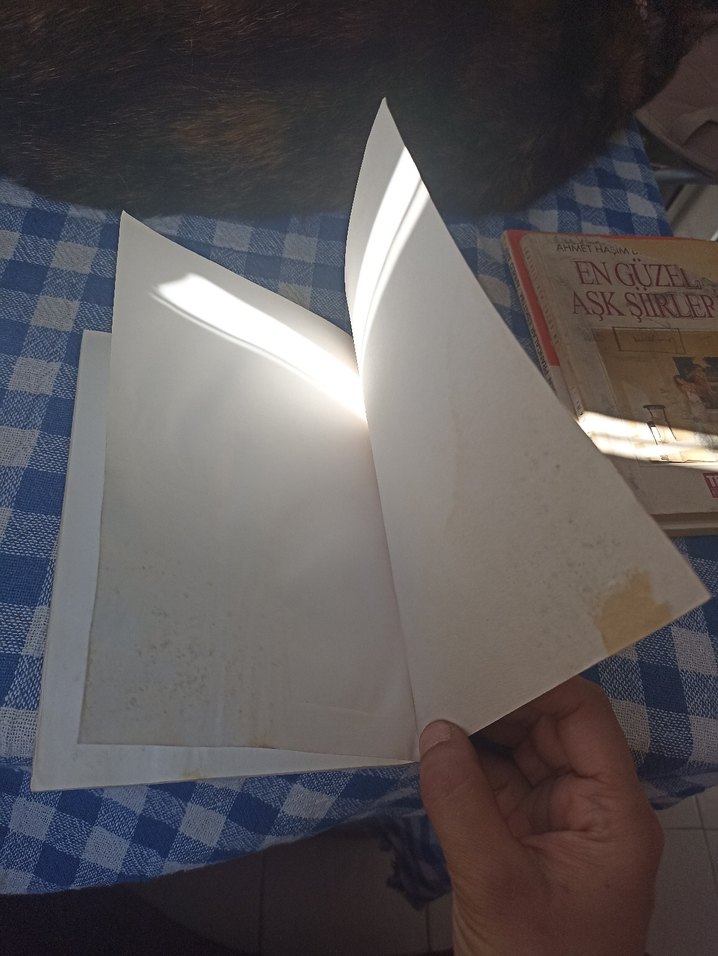 Rıfat Ilgaz - Ocak Katırı Alagöz - Görsel 4