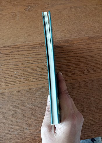 Kayıp Kentin Yakışıklısı - Yılmaz Erdoğan - Görsel 4